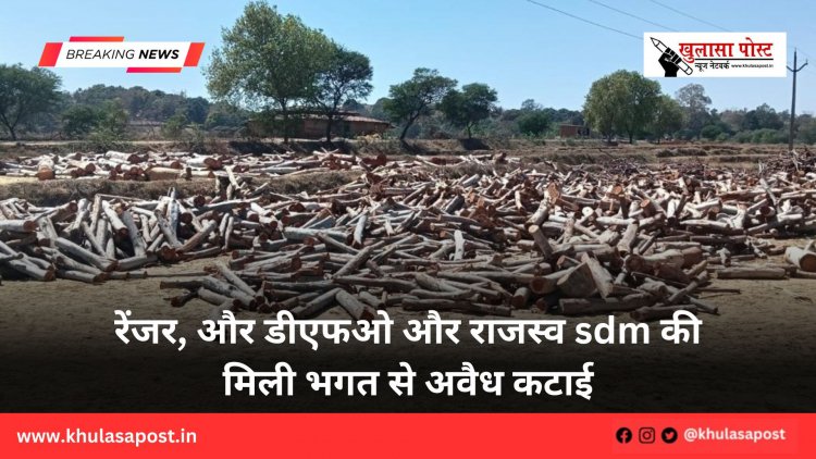 रेंजर, और डीएफओ और राजस्व sdm की मिली भगत से अवैध कटाई