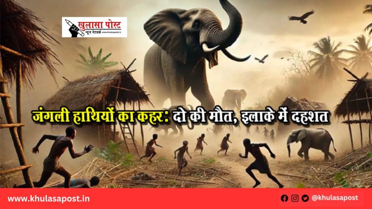 जंगली हाथियों का कहर: दो की मौत, इलाके में दहशत