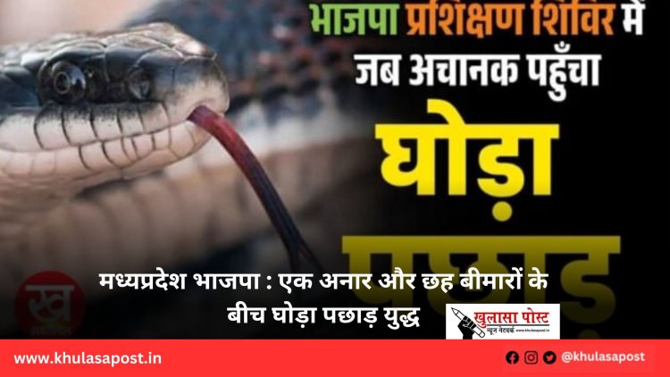 मध्यप्रदेश भाजपा : एक अनार और छह बीमारों के बीच घोड़ा पछाड़ युद्ध