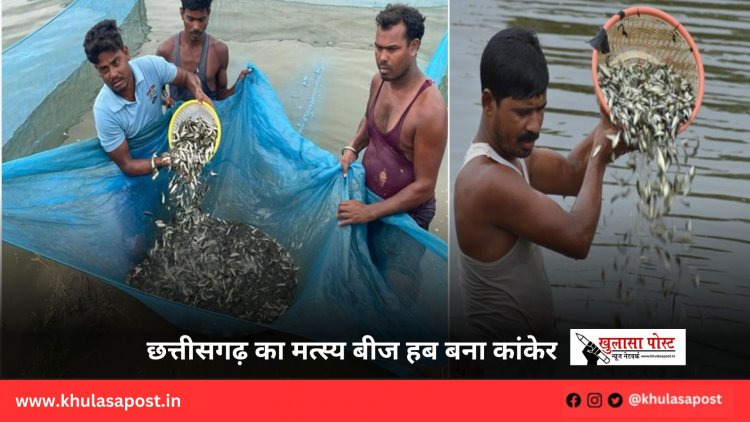 छत्तीसगढ़ का मत्स्य बीज हब बना कांकेर