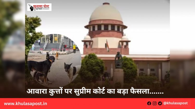 आवारा कुत्तों पर सुप्रीम कोर्ट का बड़ा फैसला.......