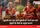 तुलसी बार-बार क्यों सूखती है? जानें बार-बार सूखने के पीछे के प्रमुख कारण