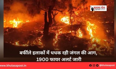 बर्फीले इलाकों में धधक रही जंगल की आग, 1900 फायर अलर्ट जारी